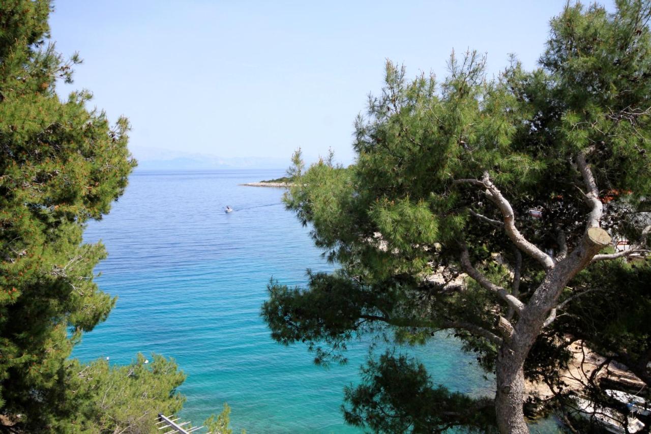 Apartments By The Sea Basina, Hvar - 542 Vrbanj Eksteriør bilde