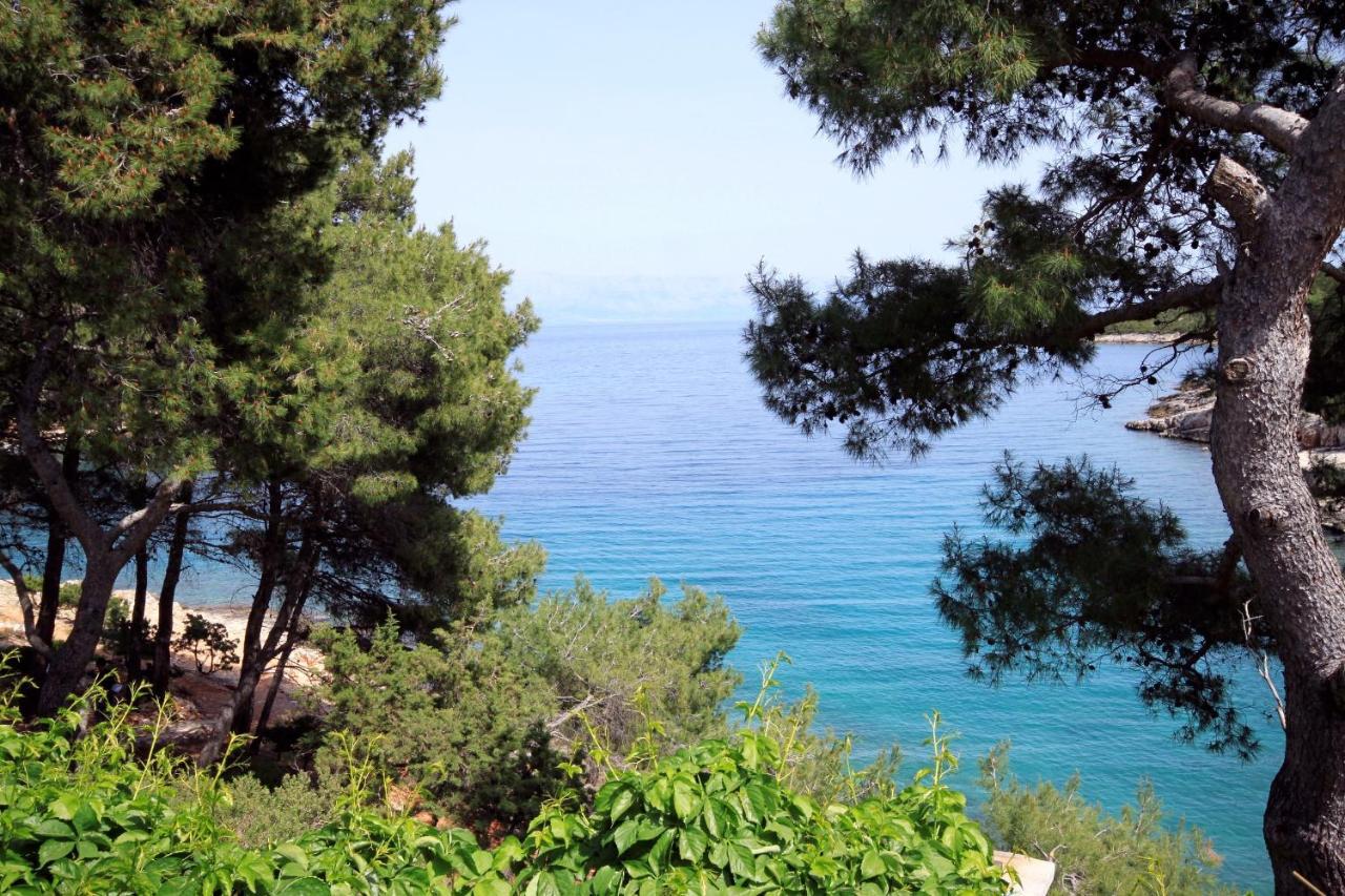 Apartments By The Sea Basina, Hvar - 542 Vrbanj Eksteriør bilde